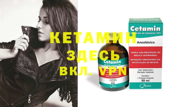 гашик Вяземский