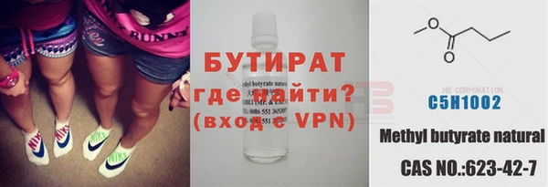 гашик Вяземский