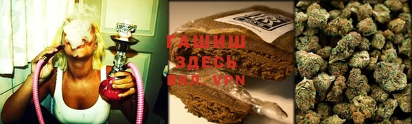 гашик Вяземский
